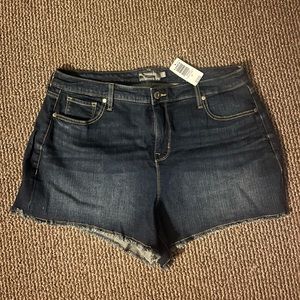 Torrid shorts
